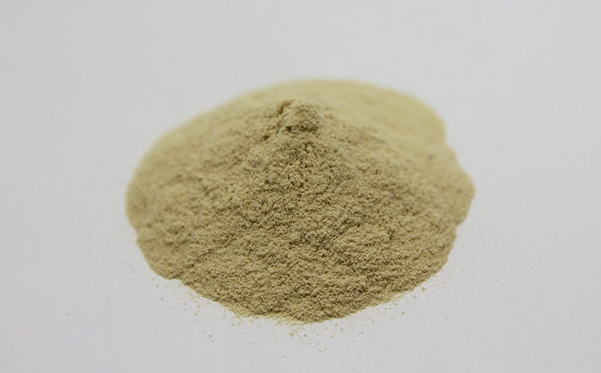 葉酸酵母MD
